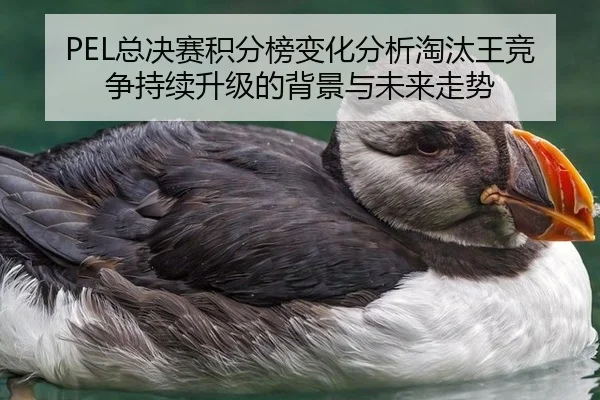 PEL总决赛积分榜变化分析淘汰王竞争持续升级的背景与未来走势
